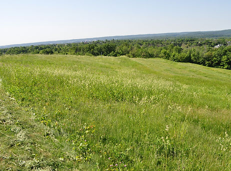 DSC_0889.JPG