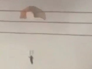 Kuwait air defences down three U.S. F-15 jets in friendly fire incident