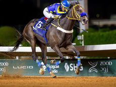 Mountain Top Wins Loyalty Cup as Prince Faisal bin Bandar Sponsors Annual Race in Riyadh