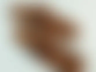 Prada Group Launches Collection in Collaboration With Indian Artisans