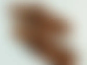 Prada Group Launches Collection in Collaboration With Indian Artisans