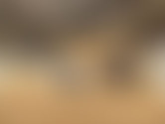 Sharjah jewellery show to feature 180 UAE makers, new luxury pavilion