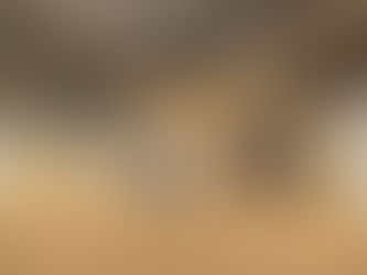 Sharjah jewellery show to feature 180 UAE makers, new luxury pavilion