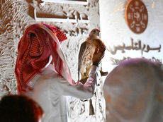 Falcons pavilion draws crowds at Prince Majid Park during Saudi Founding Day celebrations