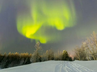 Northern Lights Illuminate Sky Over Russia’s Novy Urengoy