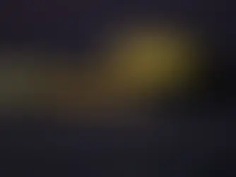 Alexandria Biennale to Return in 2027 After 12-Year Hiatus