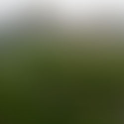 Makkah municipality completes rehabilitation of Al-Misfalah Park