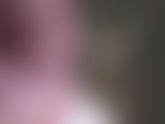 Four Falcons Fetch SAR652,000 at Malham Auction