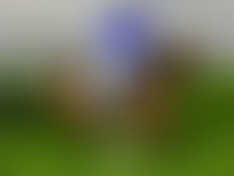 Godolphin’s Ombudsman wins Dubai Turf at Meydan