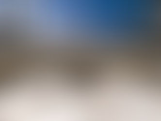 Presidency of Religious Affairs Launches New Guidance Program for Female Visitors at Grand Mosque