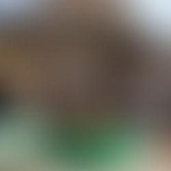 Saudia Airlines Signs Five-Year Strategic Partnership with Six Flags and Aquarabia Qiddiya City