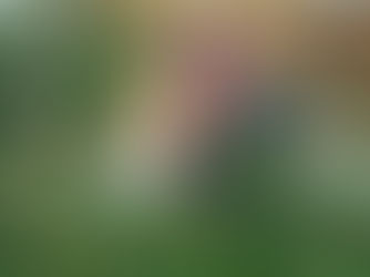 Saudi Crown Prince sends message of thanks to U.S. President following Washington visit