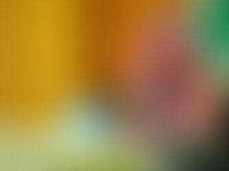 Saudi Cabinet Reviews Outcomes of Crown Prince’s Visit to Washington and Approves Multiple International Agreements