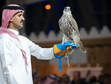 Mongolian Falcon Sets SAR1.4 Million Record at International Saudi Falcons and Hunting Exhibition