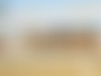 Saudi Female Camel Riders Make Historic Wins at Crown Prince Camel Festival