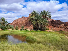 Hail Region Sees Growth Across Tourism, Agriculture and Infrastructure