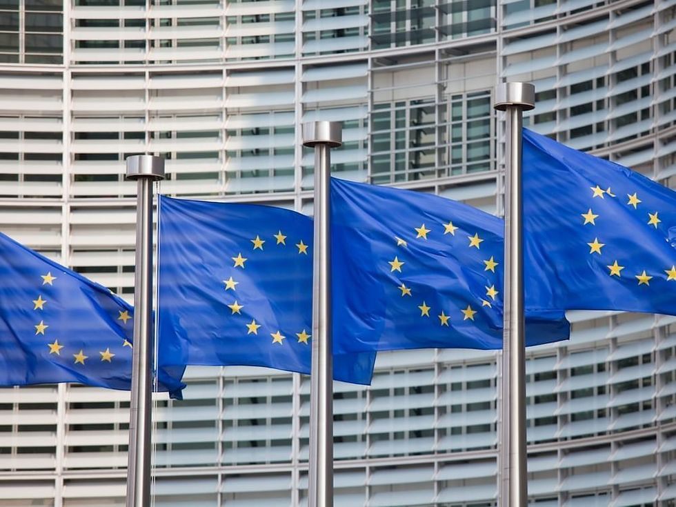 Foreign Ministers, EU Urge Israel to Halt Restrictions on International NGOs Working on Palestinian Issues