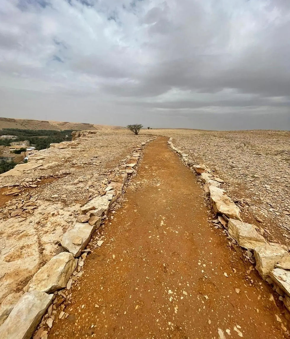 Exploring Life's Trail: How Darb's Hiking Paths Connect Humans and Nature