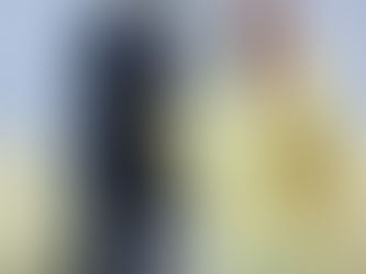 Saudi Foreign Minister meets Finnish President on sidelines of G20 Summit in Johannesburg