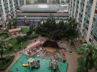 Hong Kong Reopens After Cyclone Ragasa, World’s Strongest Storm of 2025