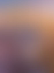 Kuwait cuts oil production as precaution amid regional conflict