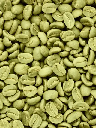 Green Coffee: The Metabolism – Boosting Supplement for Modern Well-being