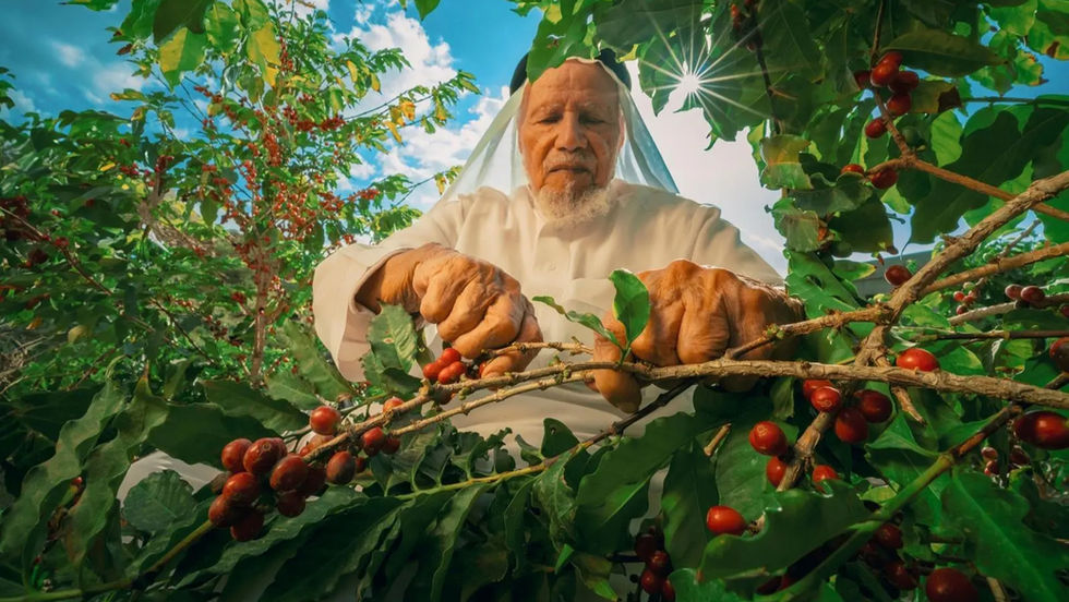 Saudi Coffee Company launches third “Saudi Sip of Excellence” contest with ACE