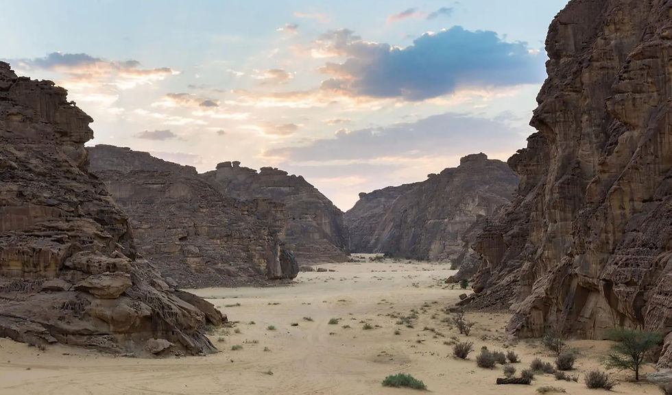 Desert X AlUla to Return for Fourth Edition in Early 2026