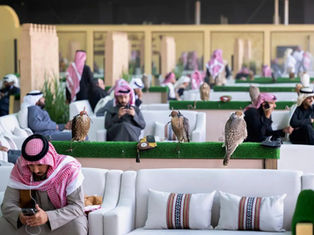 Seven qualifying rounds held at King Abdulaziz Falconry Festival 2025
