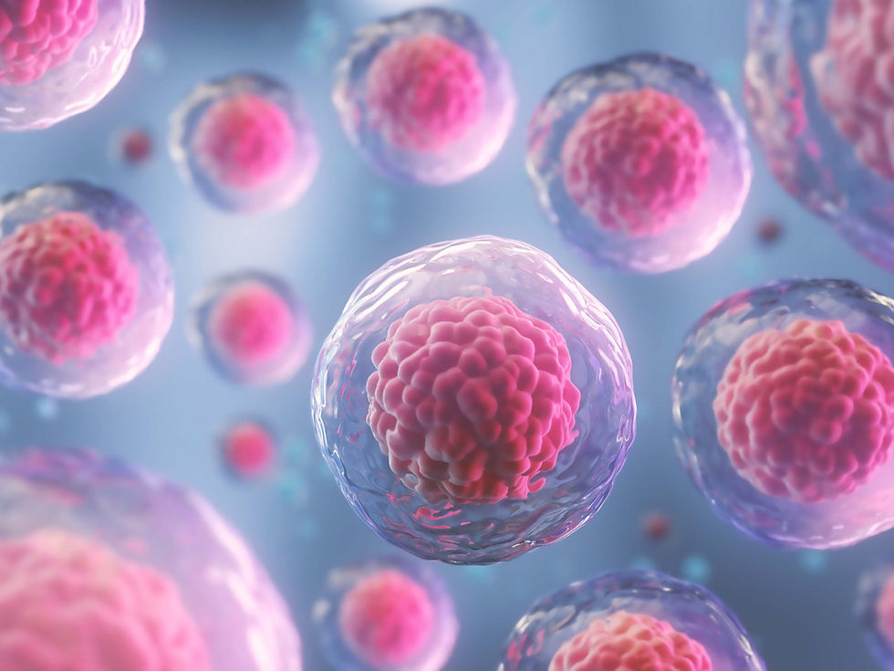 Study Finds Spaceflight Accelerates Aging of Human Blood Stem Cells