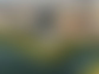 Culture Square in Historic Jeddah wins 2025 Culture Project of the Year at MEED Projects Awards