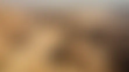 Saudi Arabia Reports 53% Decline In Sand And Dust Storms In First Seven Months Of 2025