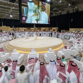 International Falcon Breeders Auction to Open in Malham on August 5