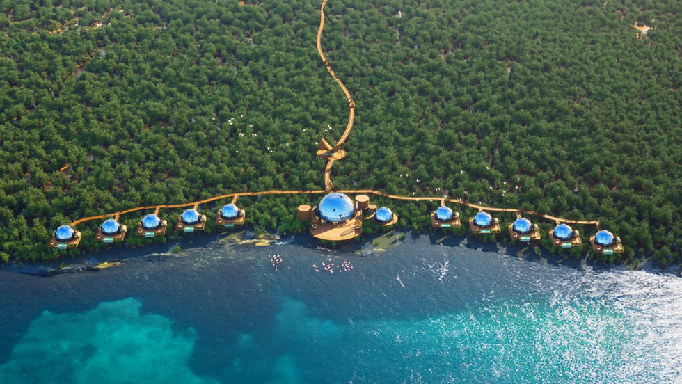 UAE’s Umm Al Qaiwain expands eco-tourism offerings with mangrove-based projects