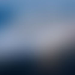 Aroya Cruises to launch first Gulf season on February 21