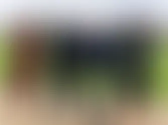 Kate Middleton’s Emilia Wickstead Ensemble Highlights Royal Style at Windsor Castle Welcome for Trump