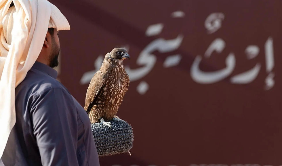 King Abdulaziz Falconry Festival 2025 to open Thursday in Malham