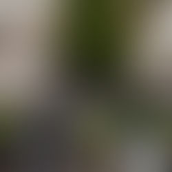 Hira Cultural District hosts Arabic literature and rhetoric evening in Makkah