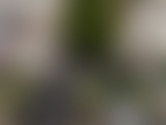 Hira Cultural District hosts Arabic literature and rhetoric evening in Makkah