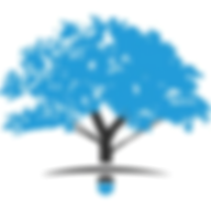 Harmonic Equity