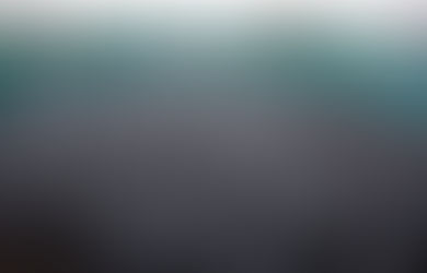 Anillamiento de flamencos en las Marismas del Odiel