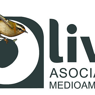 Writer: O-Live Medioambiente