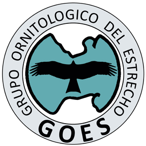 Colaboraciones