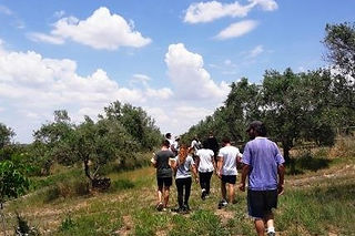 Visitando la finca