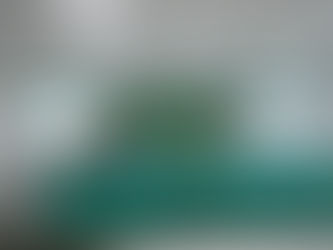 O-Live participa en el Encuentro de Voluntariado Ambiental de Andalucía