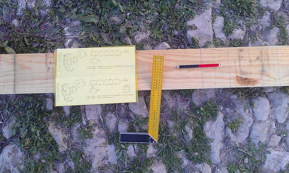 IMAG0798.jpg