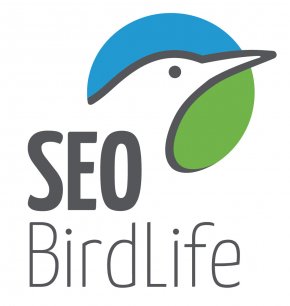 SEO_LOGO_2015
