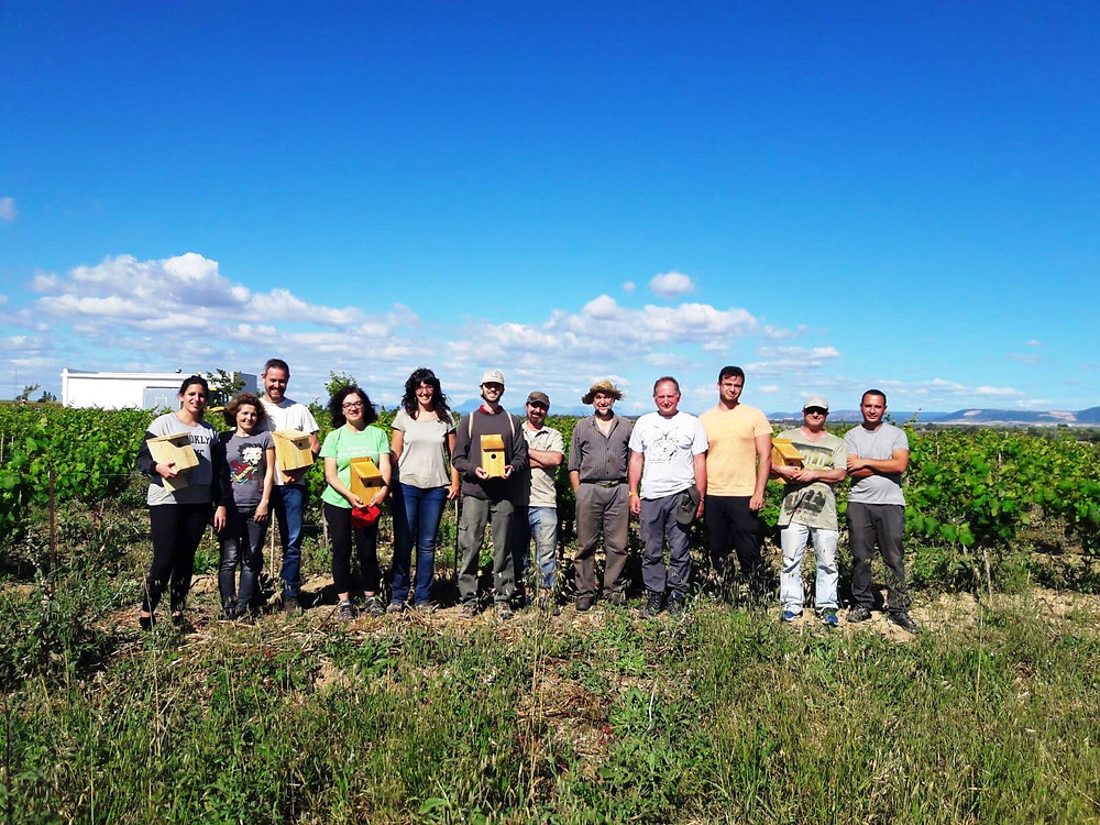 Equipo de participantes