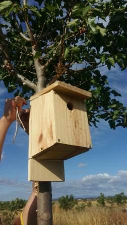 Caja nido para aves insectívoras
