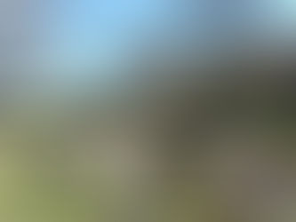 Fuentes de Vida 2021